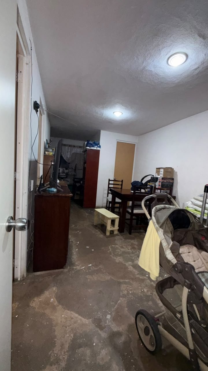 Imagen 5